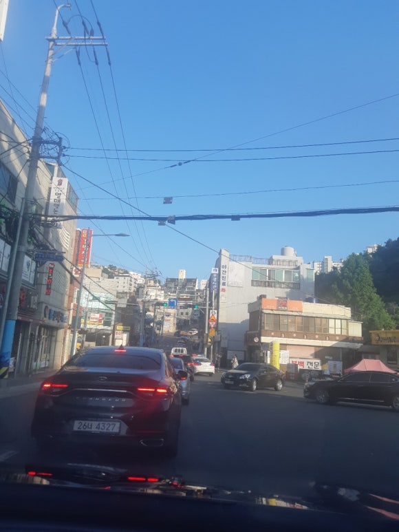 꼬띠디앙 이미지