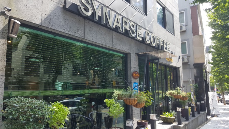 시냅스커피 이미지