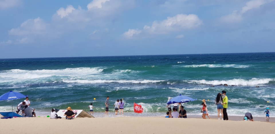여행친구주 이미지
