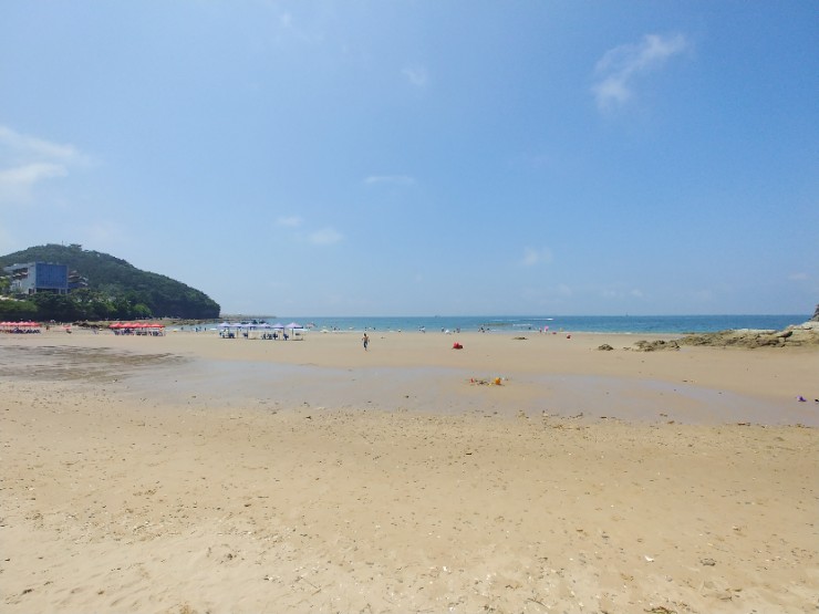 스케디오디자인 이미지
