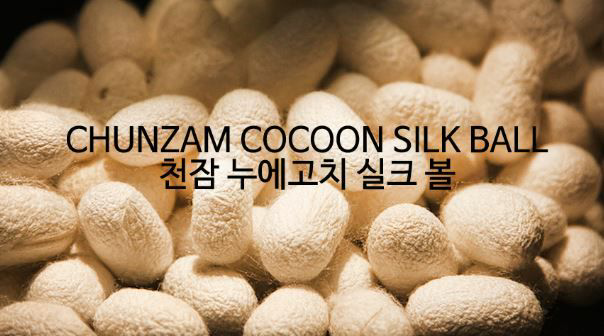 (주)천잠바이오 이미지
