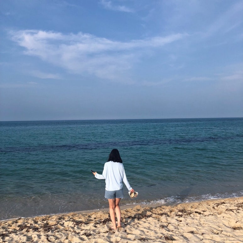 까르디에A 이미지