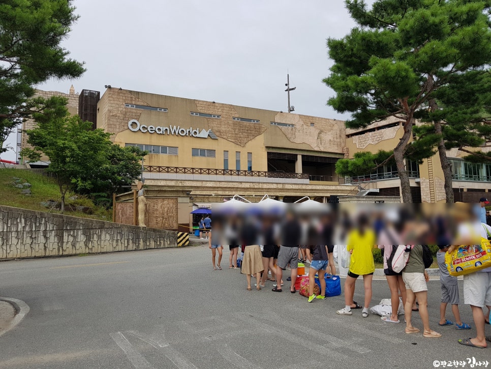 월드어머니회 이미지