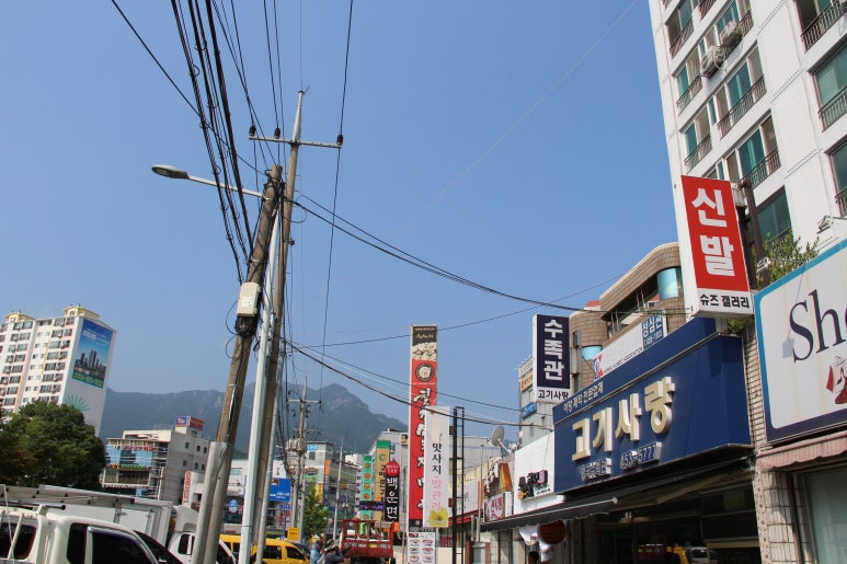 칠칠소.돼지막창형곡 이미지