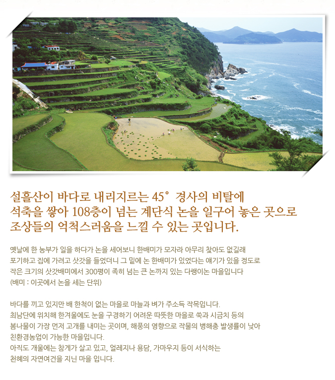 다랭이민박 이미지