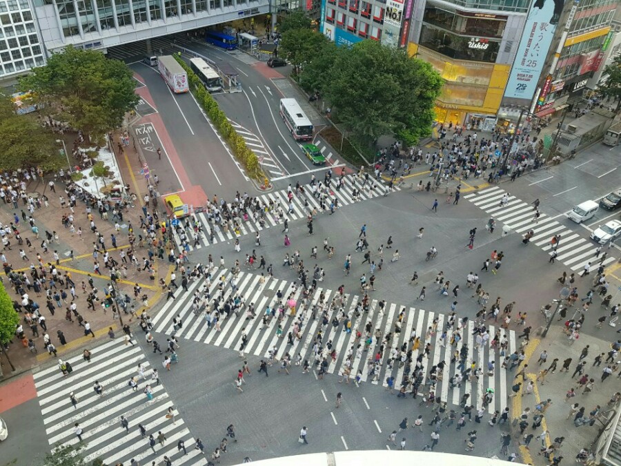 교차로여행 이미지