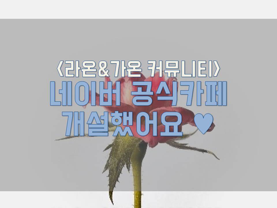 가온커뮤니티 이미지