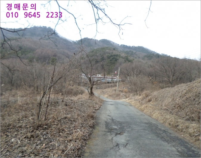 금산주유소 이미지