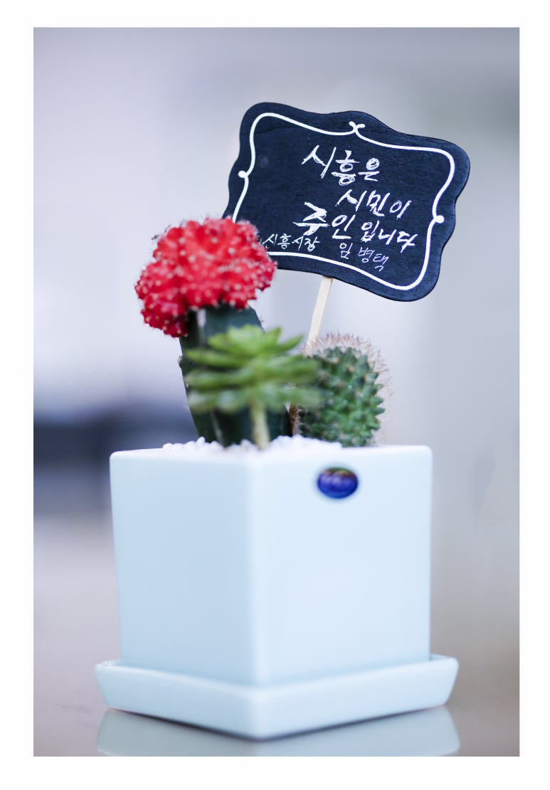 시흥시 종합일자리센터 이미지