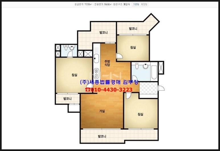 월드스포츠컨설팅주 이미지