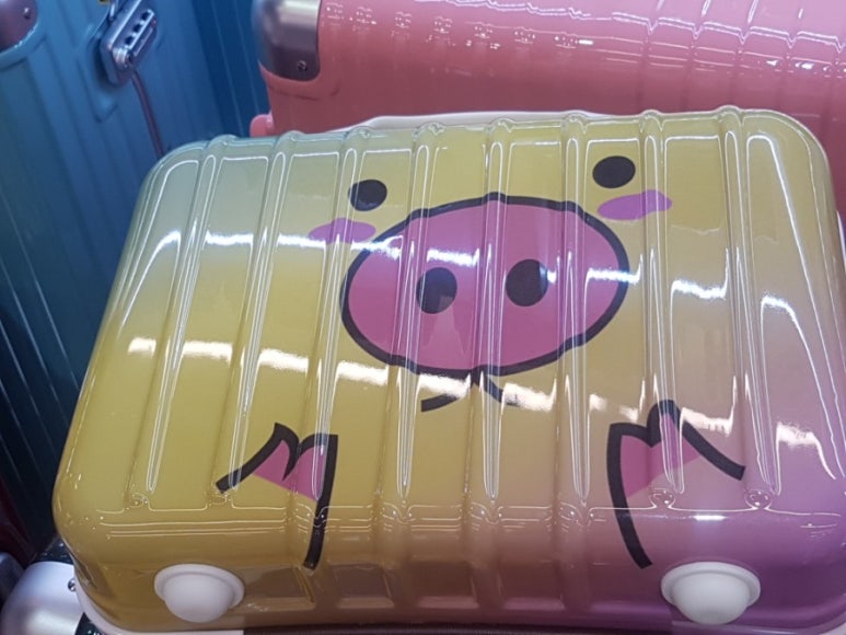 알파카라반 이미지