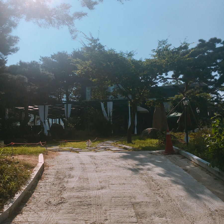 트리팜 이미지
