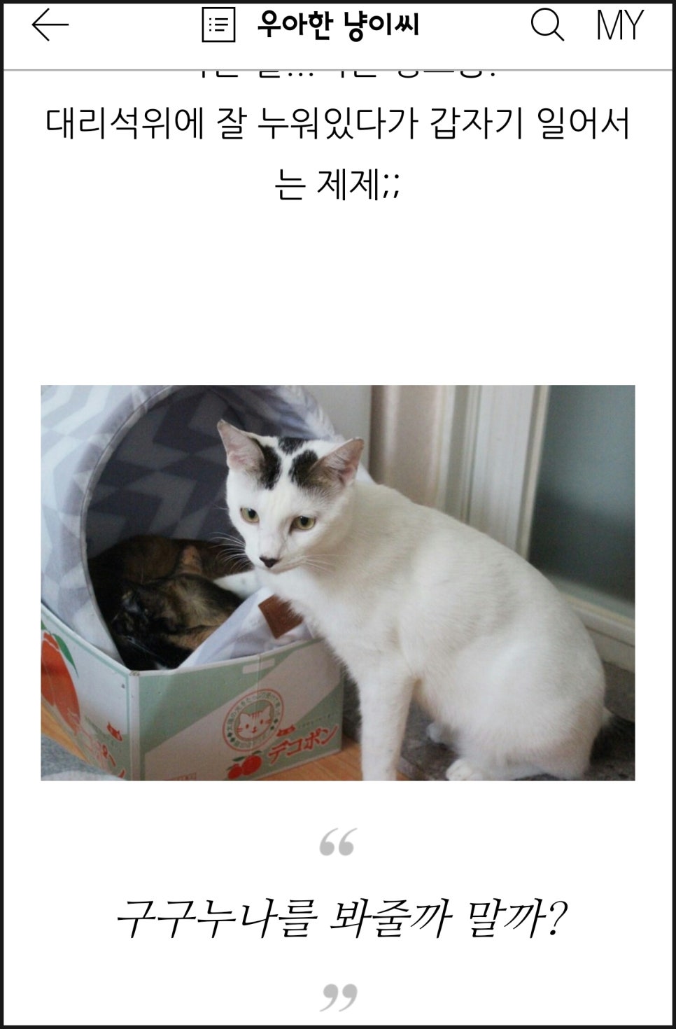 홍찌 이미지
