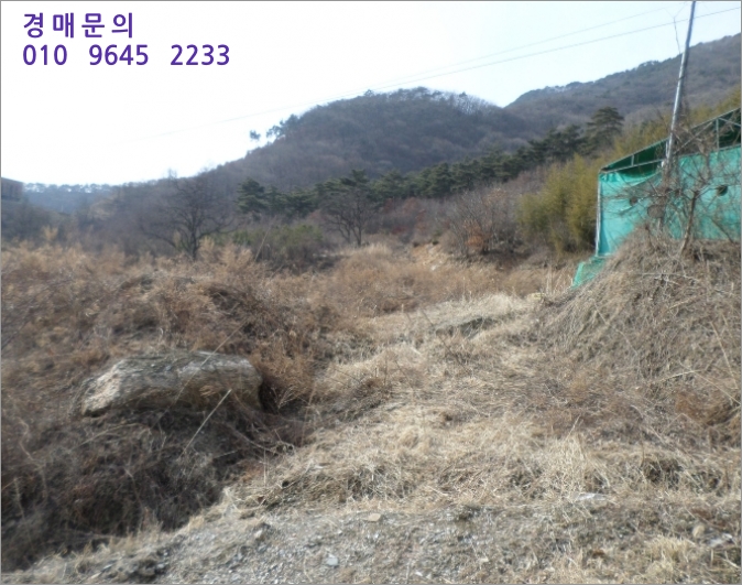 금산주유소 이미지