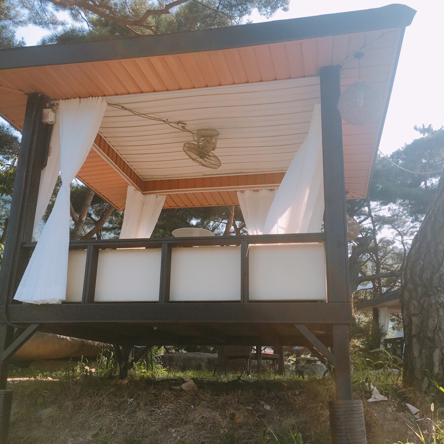 트리팜 이미지