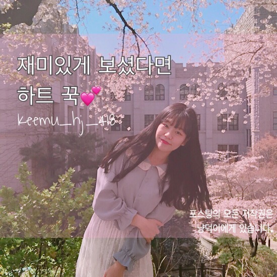 디청춘미디어 이미지