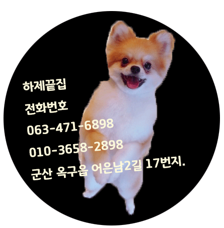 하제끝집 이미지