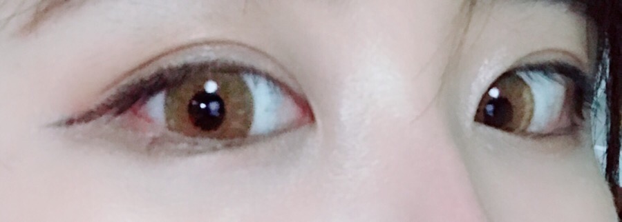 컬러심포니 이미지