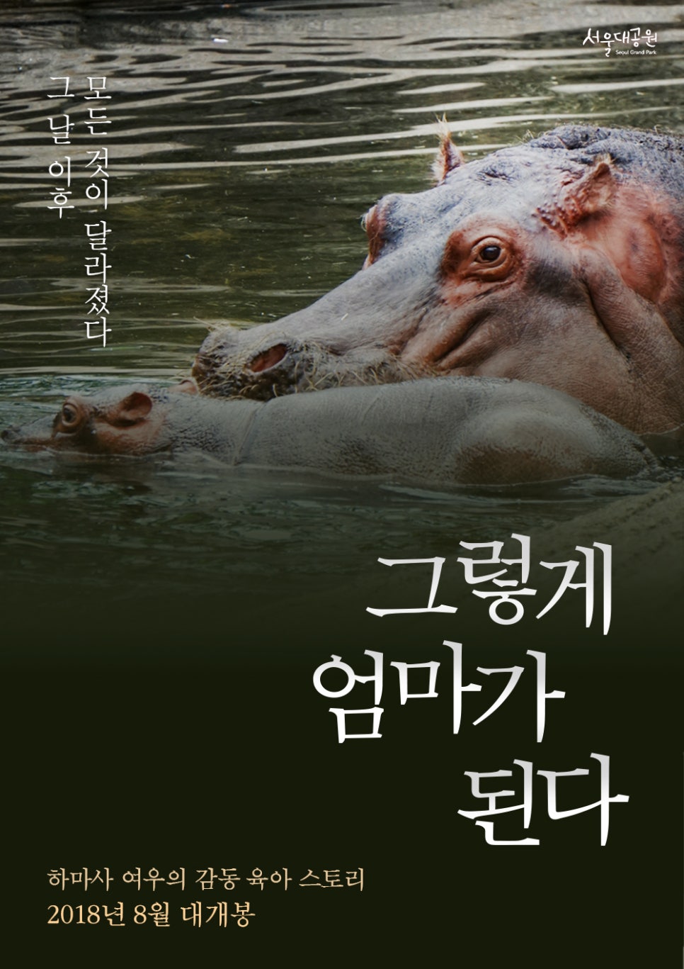 하마사 이미지