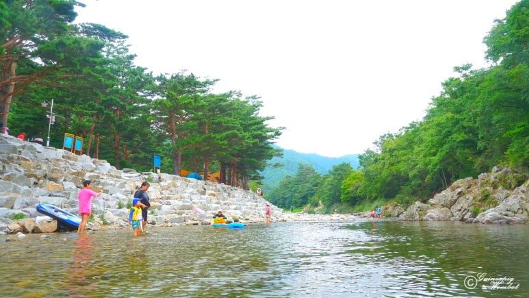 샘골솔밭야영장 이미지