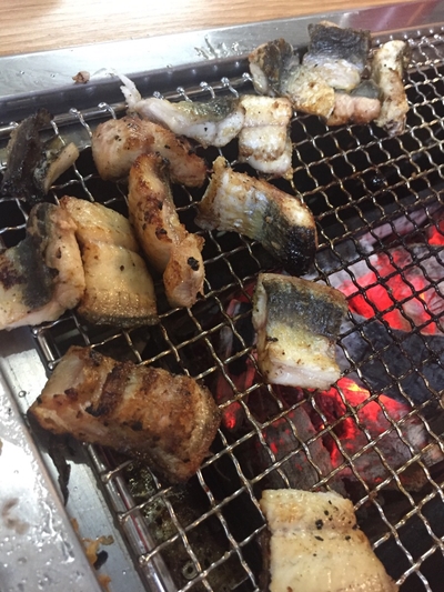 장어나다 이미지