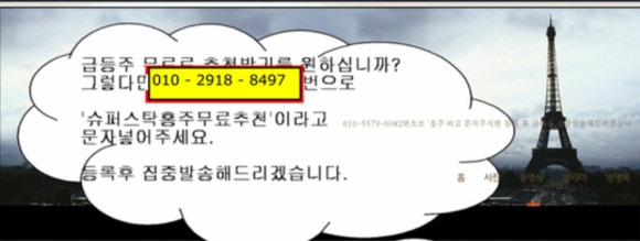 홍주엔터테인먼트 이미지