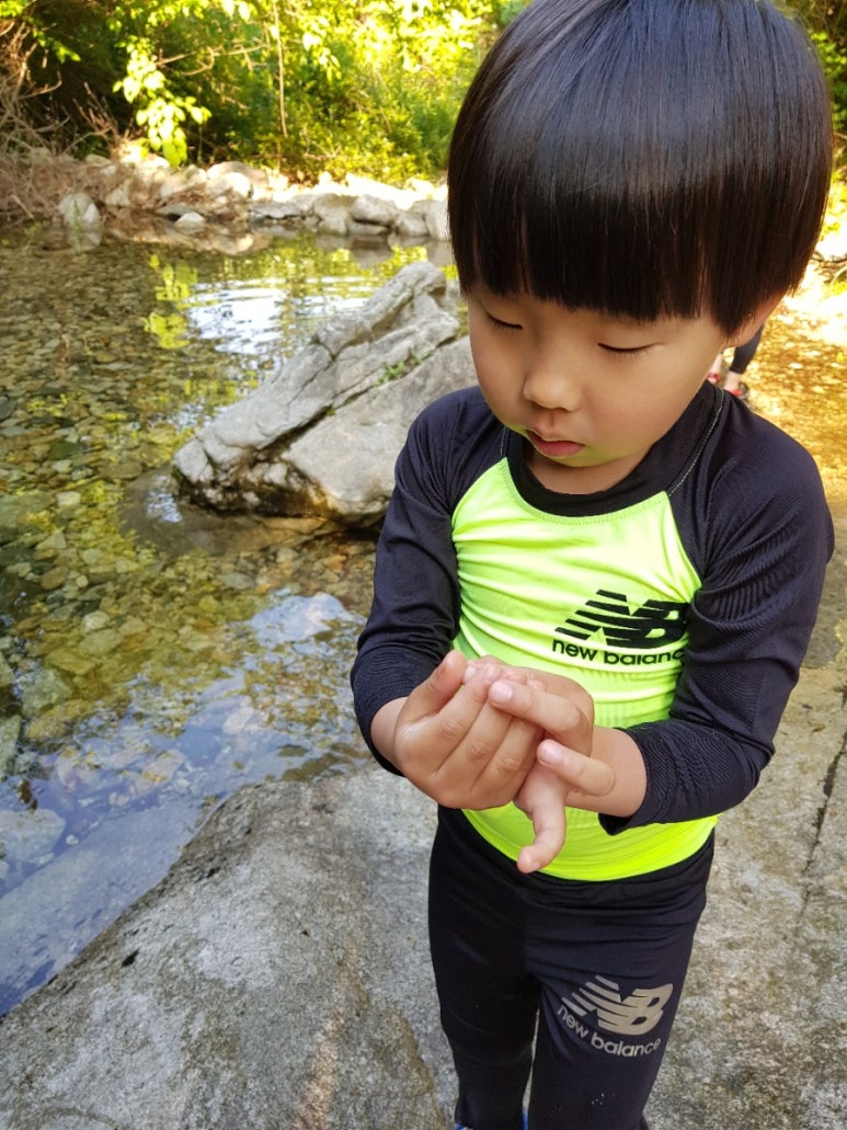 수룡캠핑장 이미지