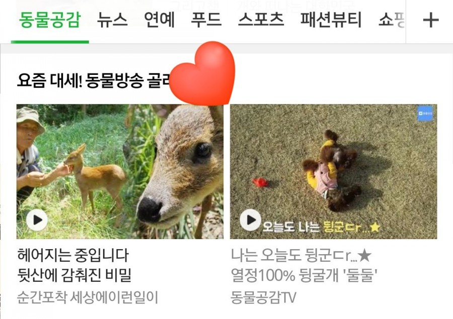 뒹굴개 이미지