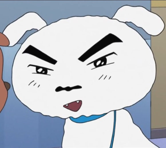 츄릅 이미지