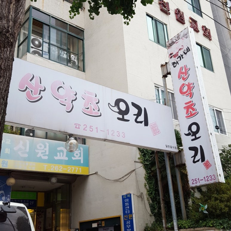 허가네산약초오리 이미지