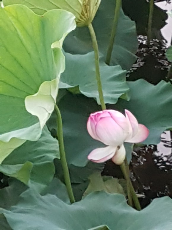 푸드타임 이미지