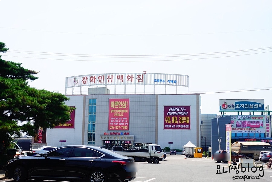 (주)강화인삼백화점 이미지
