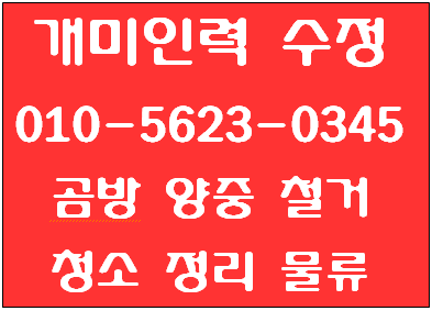 신흥인력철거 이미지
