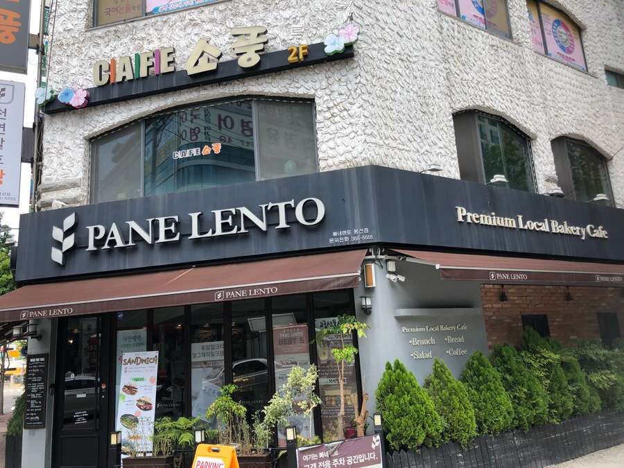 빠네렌토((PANE LENTO) 이미지