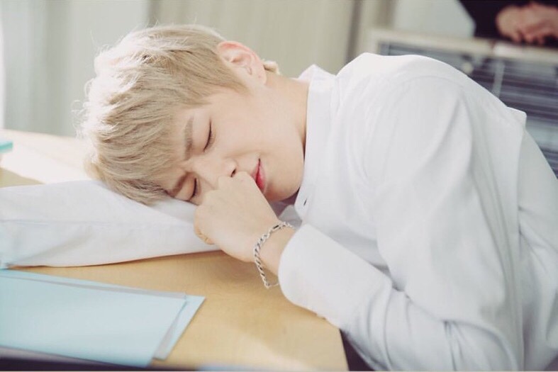 더스토리북 이미지