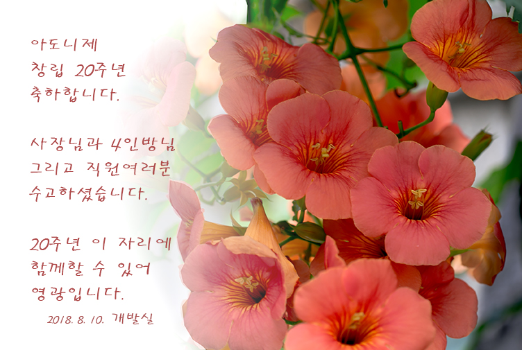 아도니제 이미지
