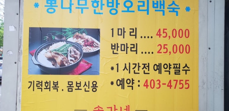 손가네 이미지