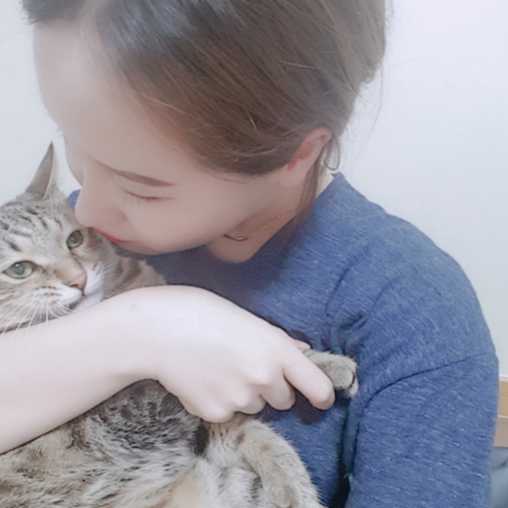 김밥천국앤스파게티 이미지