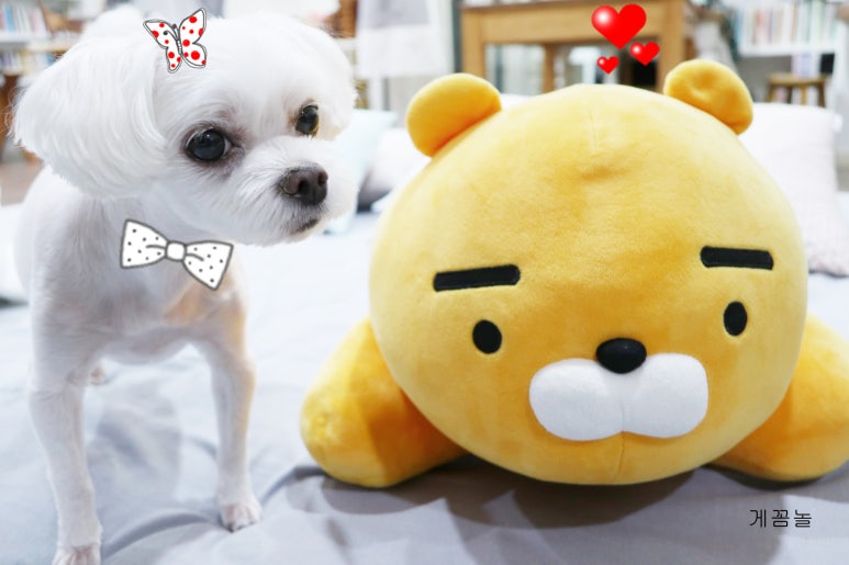 이쁜이세탁 이미지