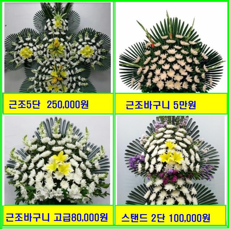 광주정품화환배달 이미지