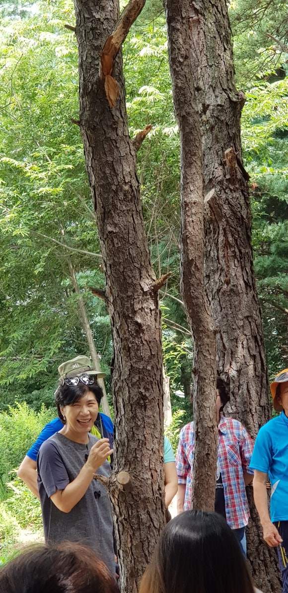 백화정 이미지