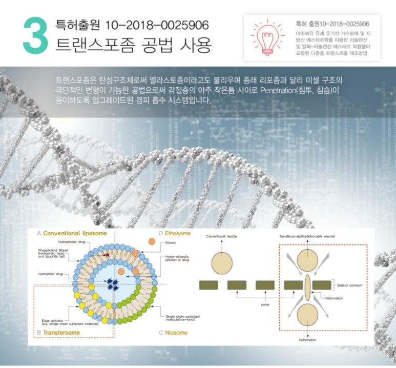 지마스크 이미지