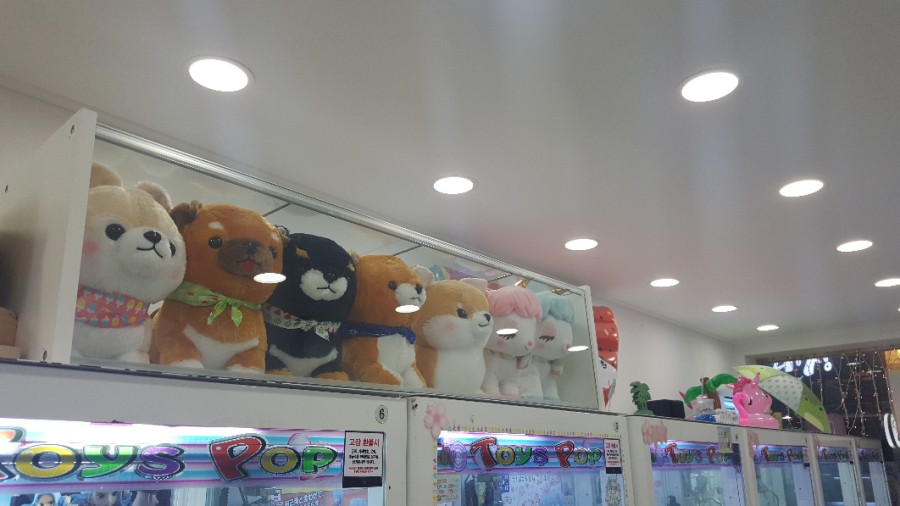 뽑스 이미지