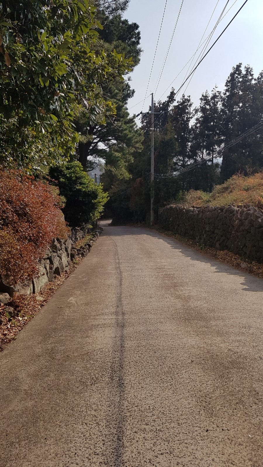 오일장형제 이미지