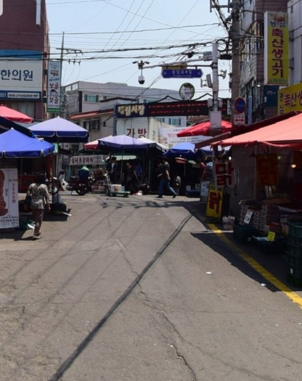 (주)대림투어 이미지