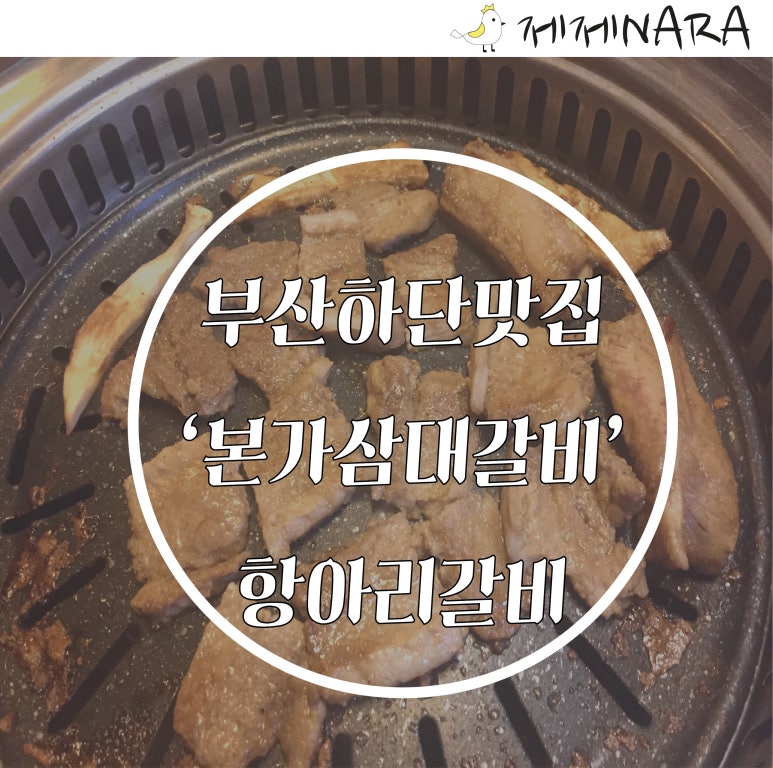 항아리본가 이미지