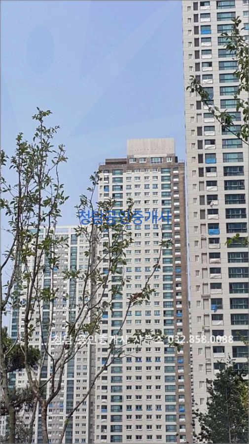 청담라인치과의원 이미지