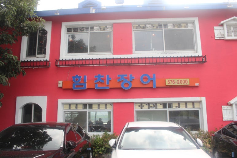 힘찬장어 이미지