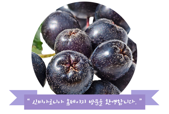 옥산막국수 이미지
