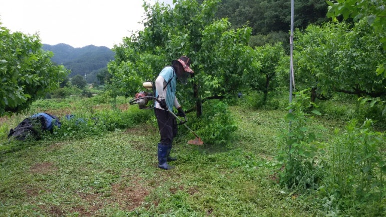 보은대추산외농원 이미지